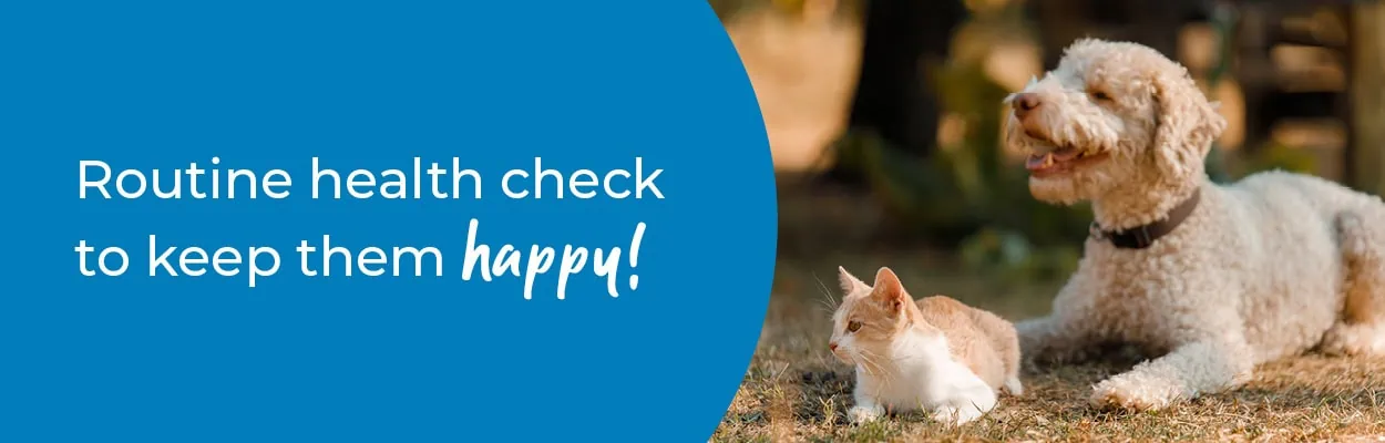 Pet Health Check in Surrey | Preventative Vet Care | Croft Vets