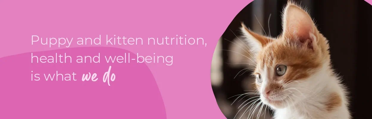 Welcoming your New Puppy or Kitten | Crofts Vets