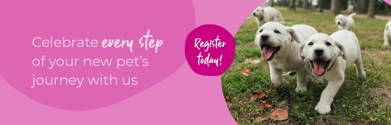 Welcoming your New Puppy or Kitten | Crofts Vets
