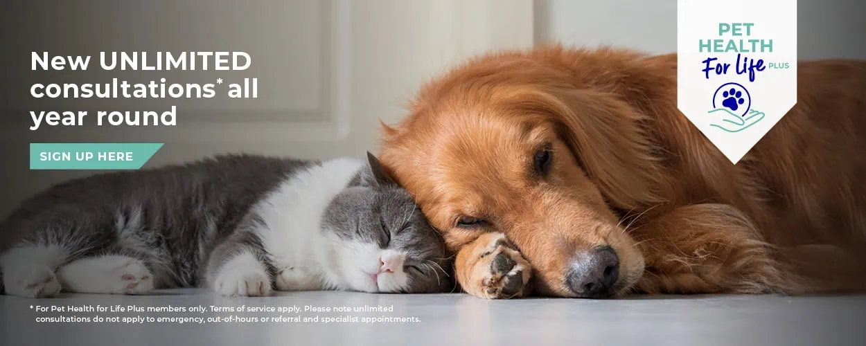 Crofts Veterinary Surgery Haslemere | Vets Near Me Surrey