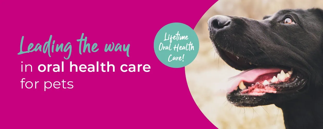 Crofts Veterinary Surgery Haslemere | Vets Near Me Surrey
