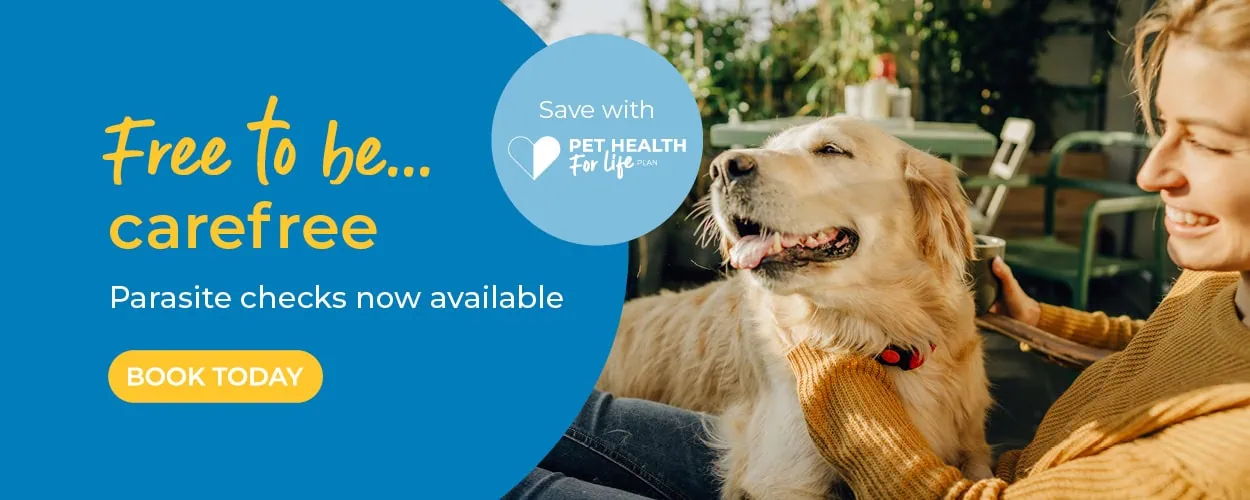 Crofts Veterinary Surgery Haslemere | Vets Near Me Surrey