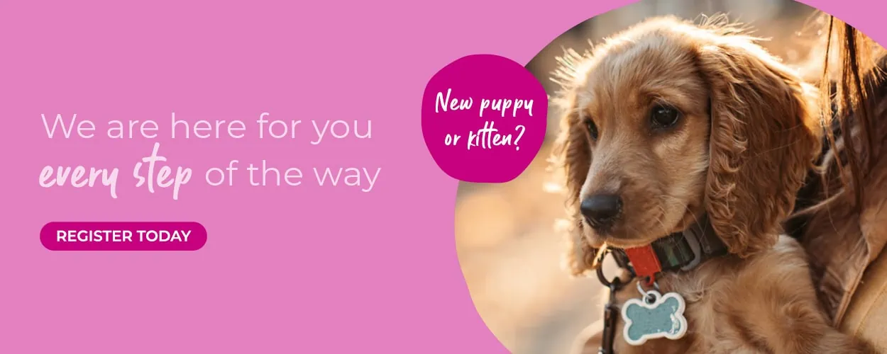 Crofts Veterinary Surgery Haslemere | Vets Near Me Surrey