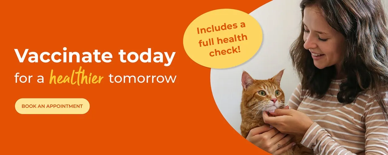 Crofts Veterinary Surgery Haslemere | Vets Near Me Surrey